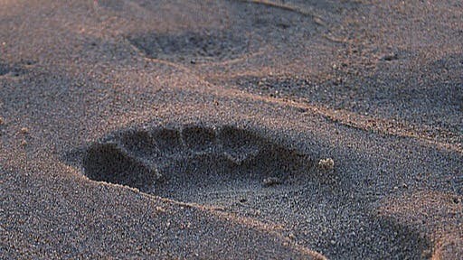footprint-908273_640